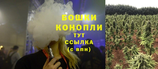тгк Карпинск