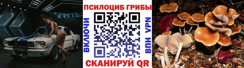 Купить где  Кубинка  Галлюциногенные грибы мицелий 